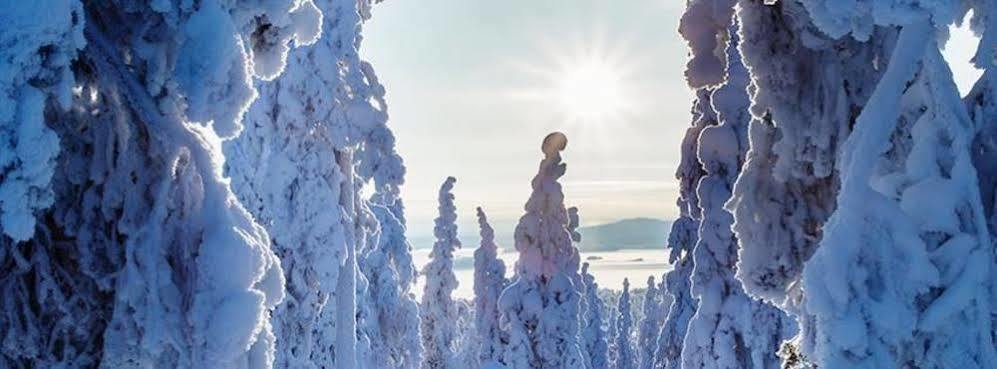 Suomu Chalets Suomutunturi 外观 照片