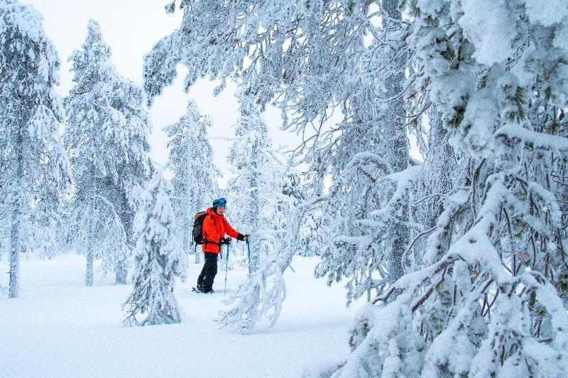 Suomu Chalets Suomutunturi 外观 照片